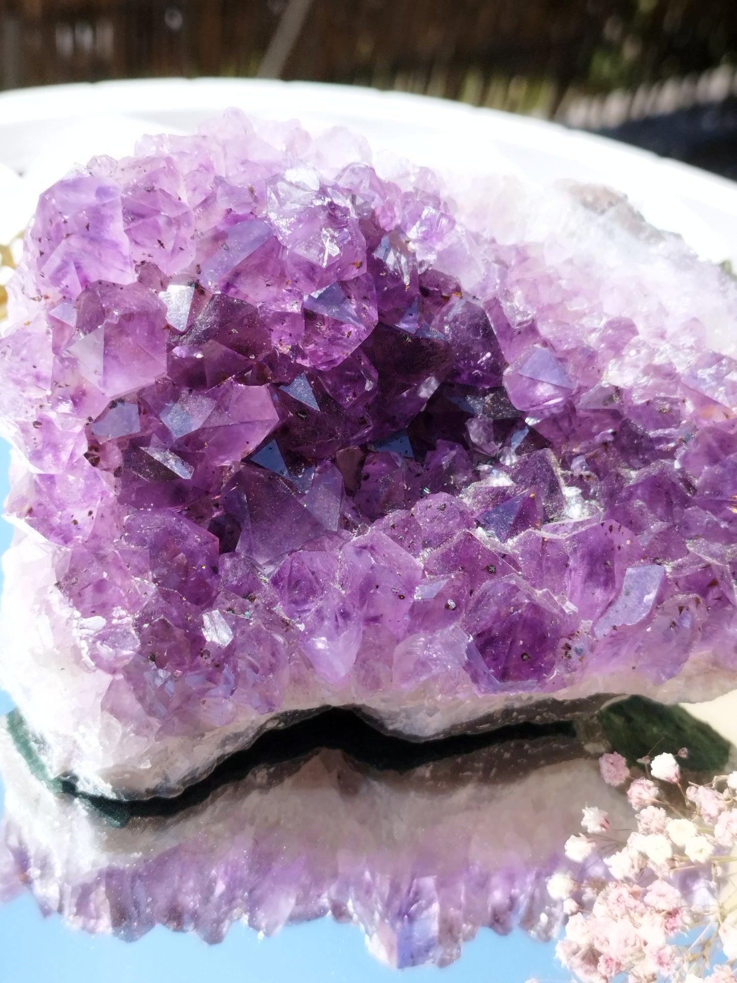 Amethyst Cluster